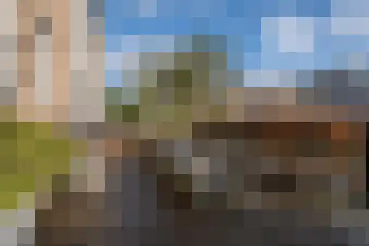Midgard 37 Beverwijk thumbnail 4
