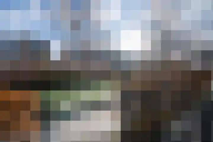Midgard 37 Beverwijk thumbnail 5