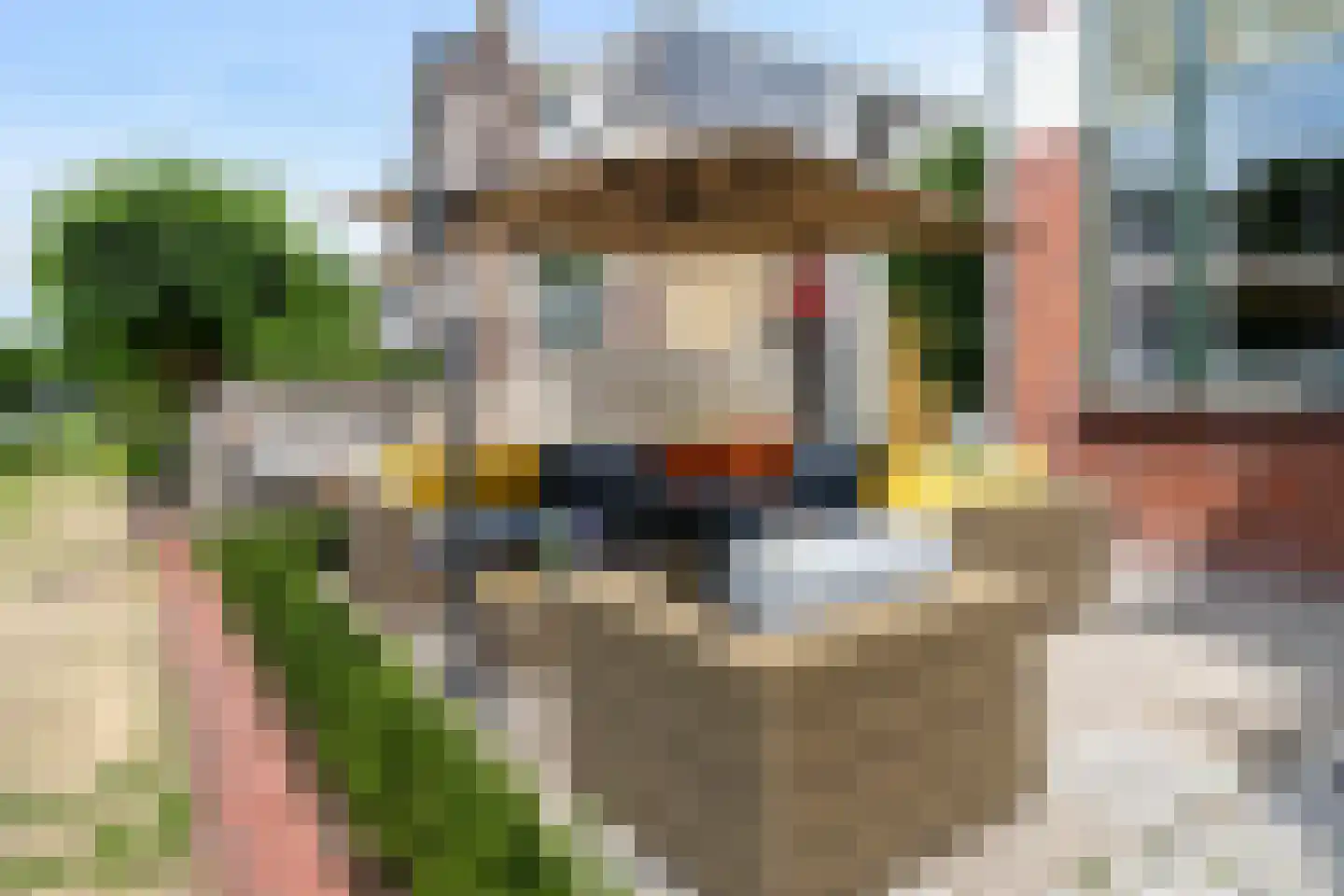 Midlumerlaan 5 Harlingen thumbnail 28