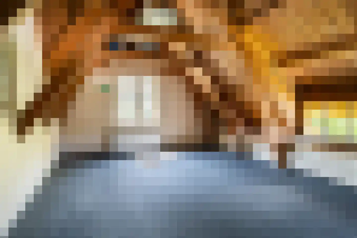 Midlumerlaan 5 Harlingen thumbnail 48