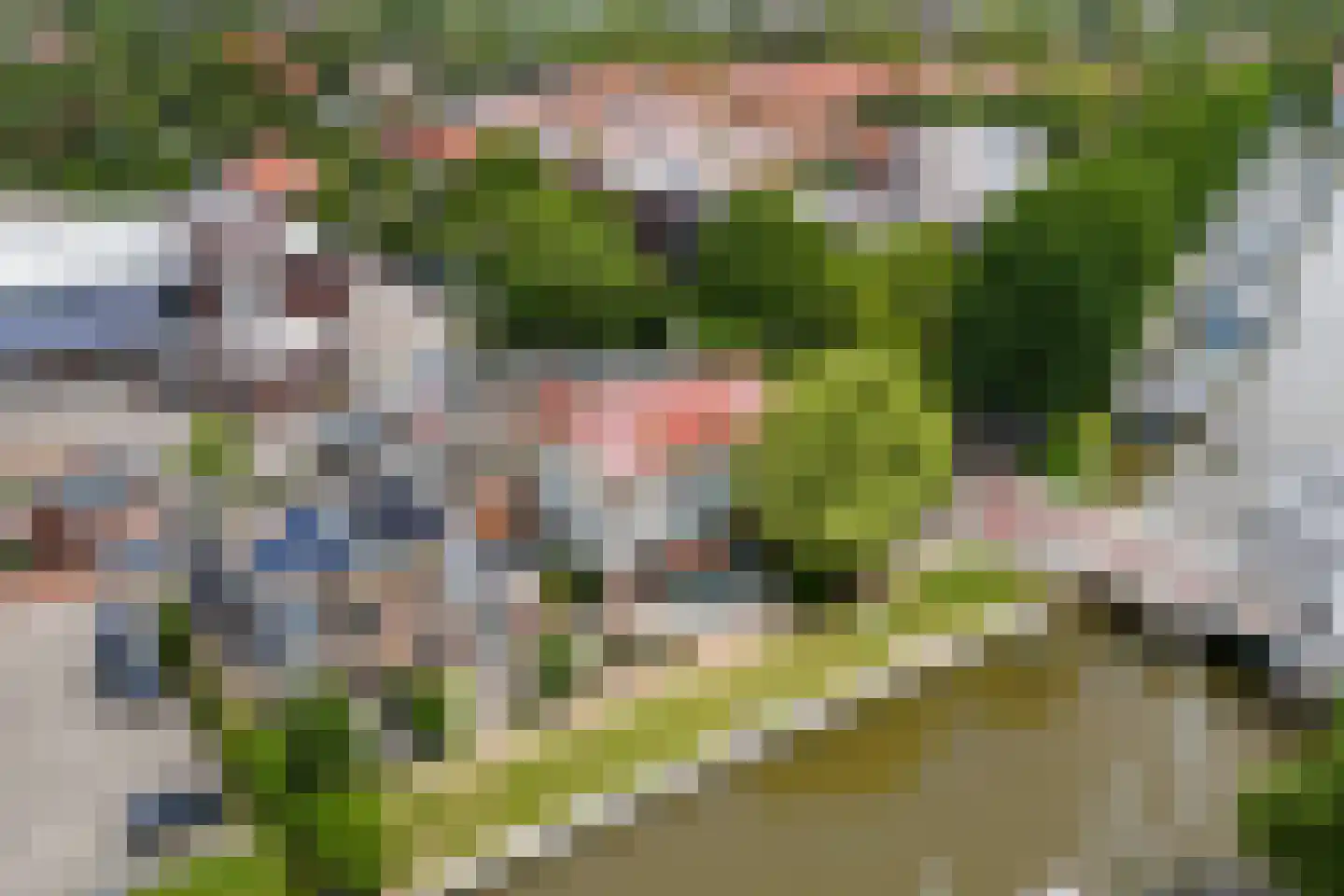 Midlumerlaan 5 Harlingen thumbnail 58