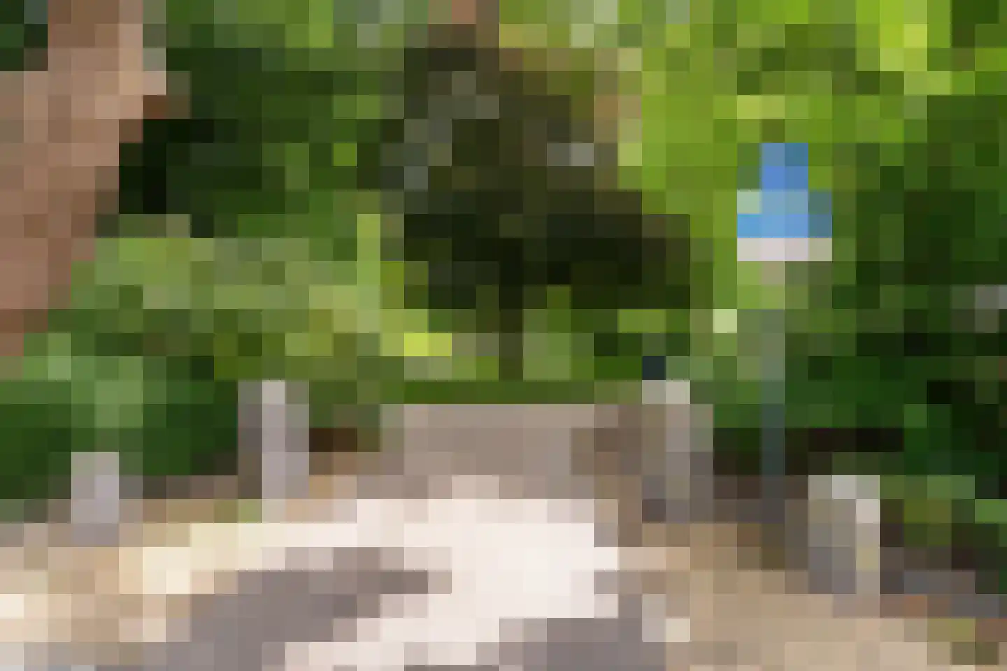 Midlumerlaan 5 Harlingen thumbnail 63