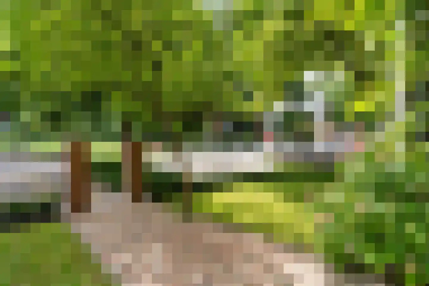 Midlumerlaan 5 Harlingen thumbnail 65