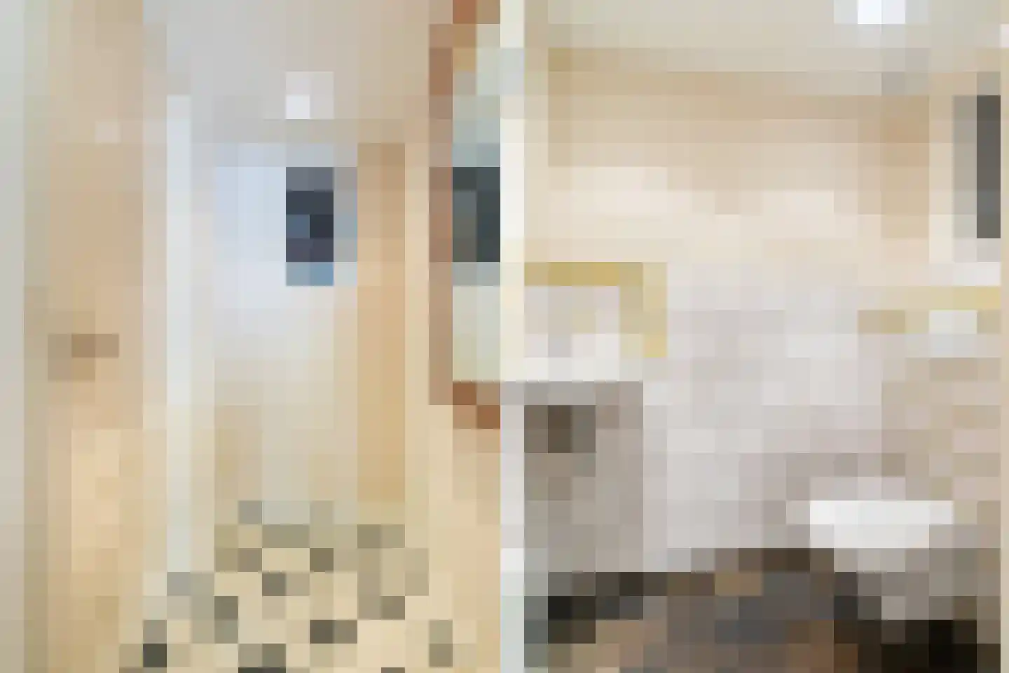 Midlumerlaan 5 Harlingen thumbnail 8