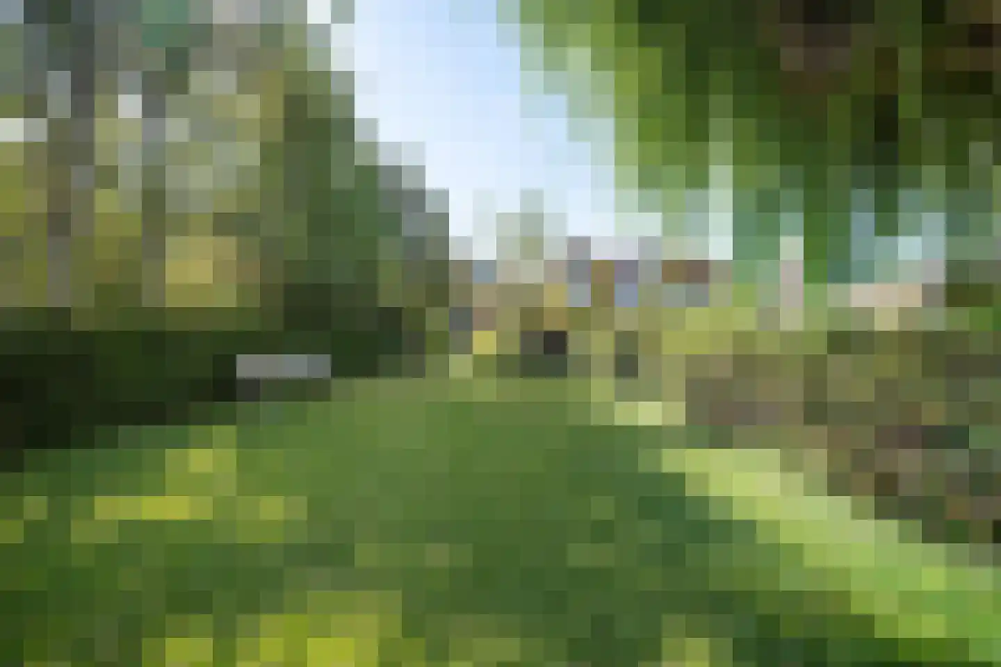 Midlumerlaan 77 Harlingen thumbnail 42