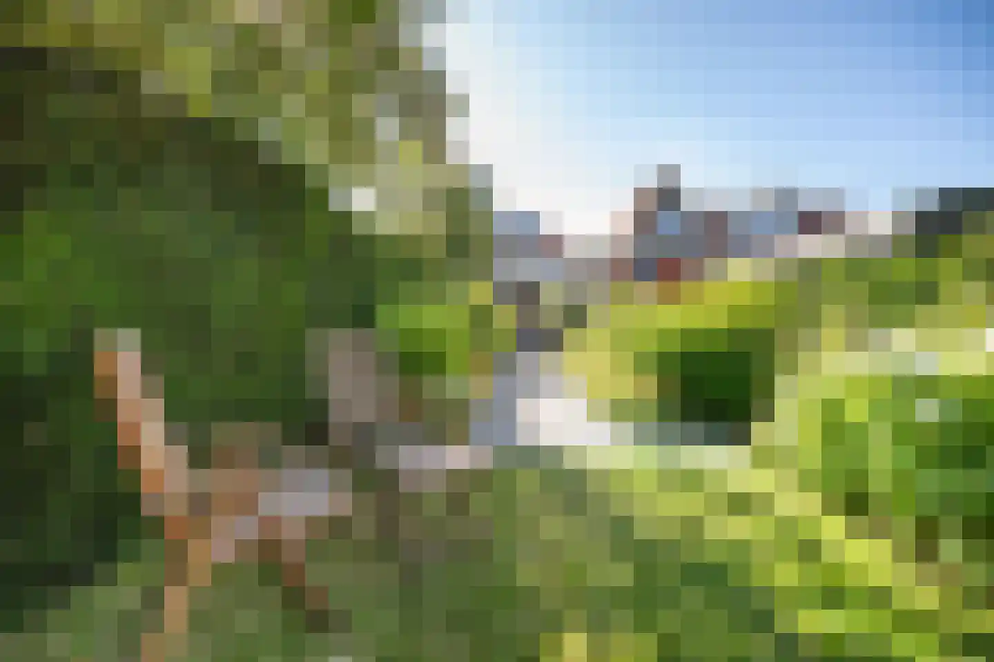 Midlumerlaan 77 Harlingen thumbnail 43