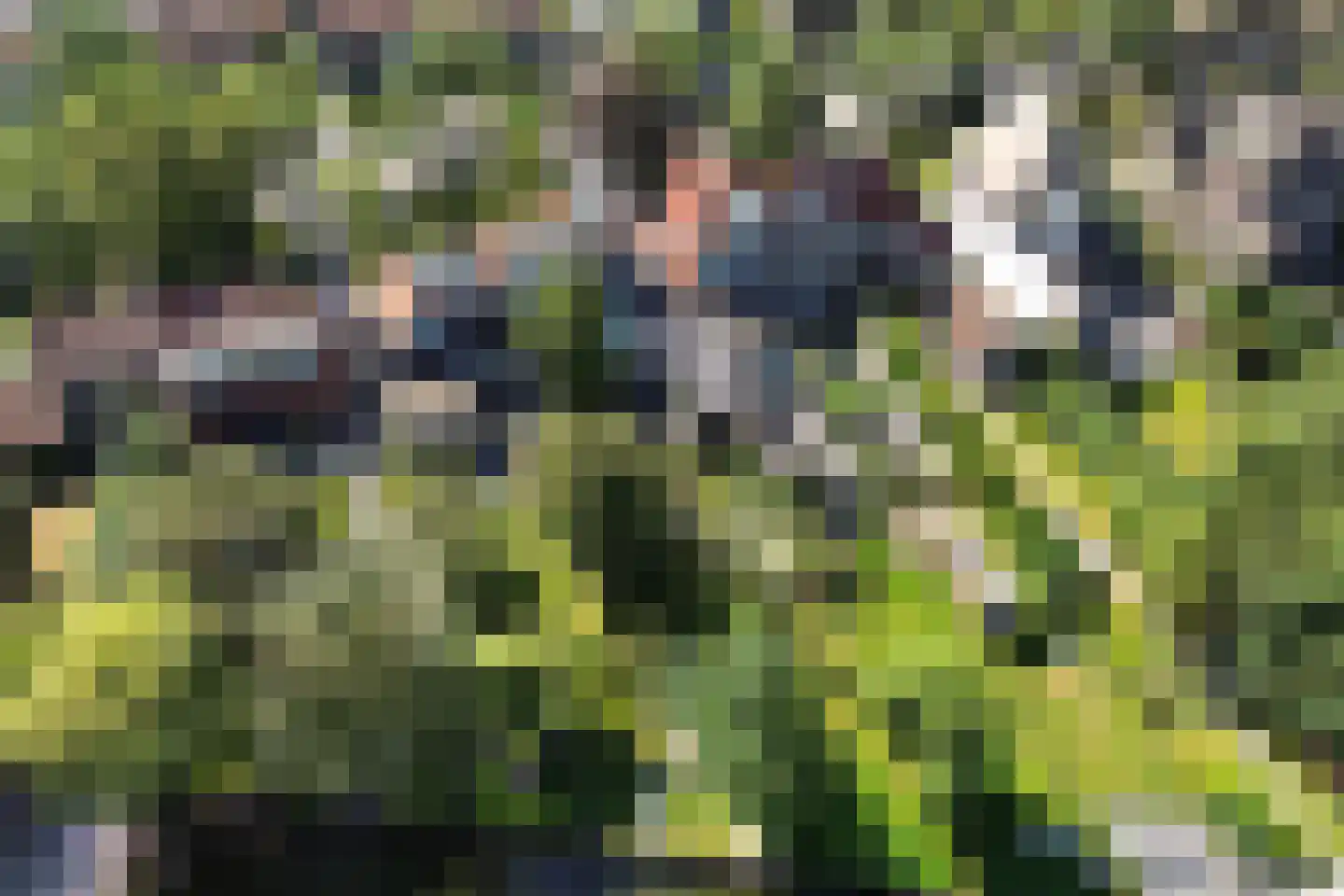 Midlumerlaan 77 Harlingen thumbnail 59