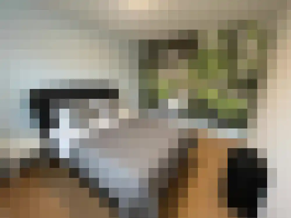 Midscheeps 1 Amstelveen thumbnail 11
