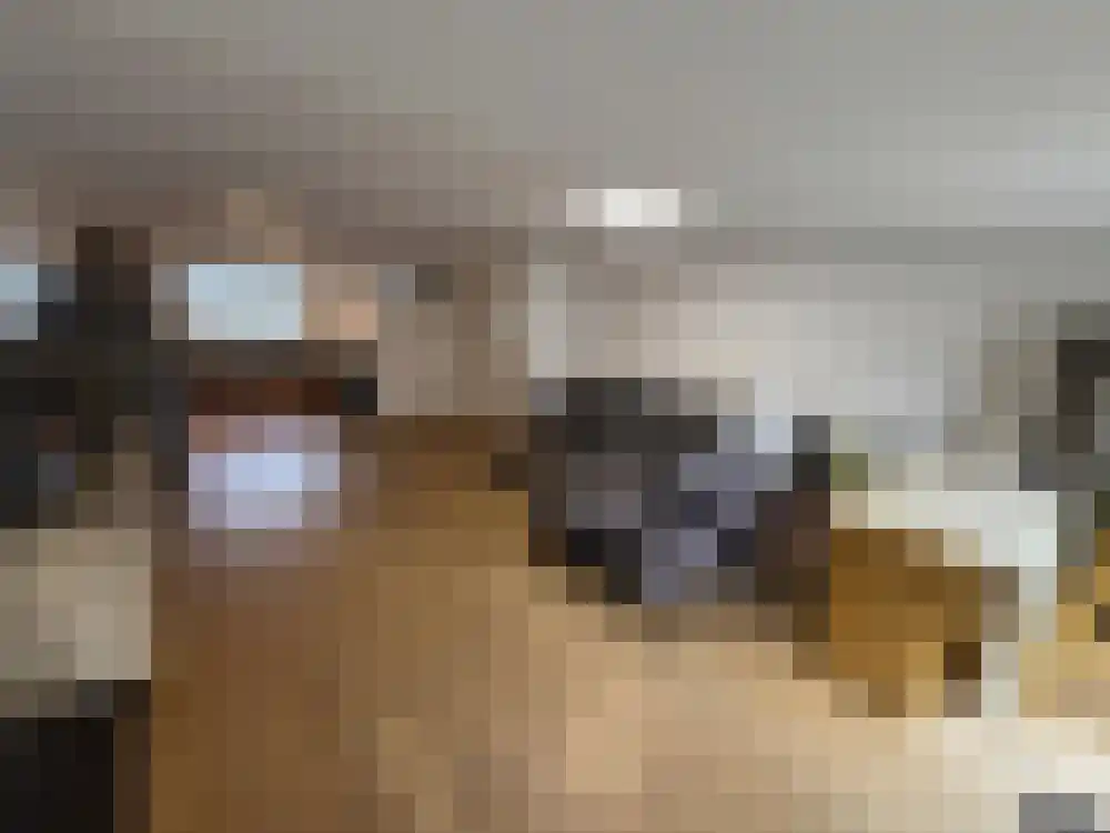 Midscheeps 1 Amstelveen thumbnail 9