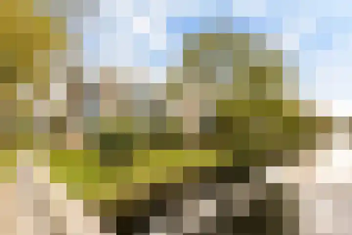 Midscheeps 112 Amsterdam