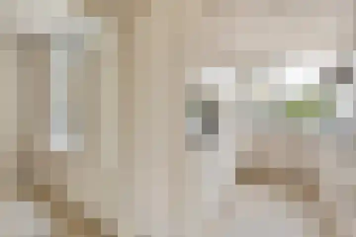 Midscheeps 112 Amsterdam thumbnail 10