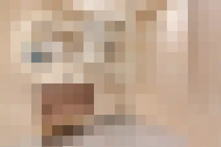 Midscheeps 112 Amsterdam thumbnail 16