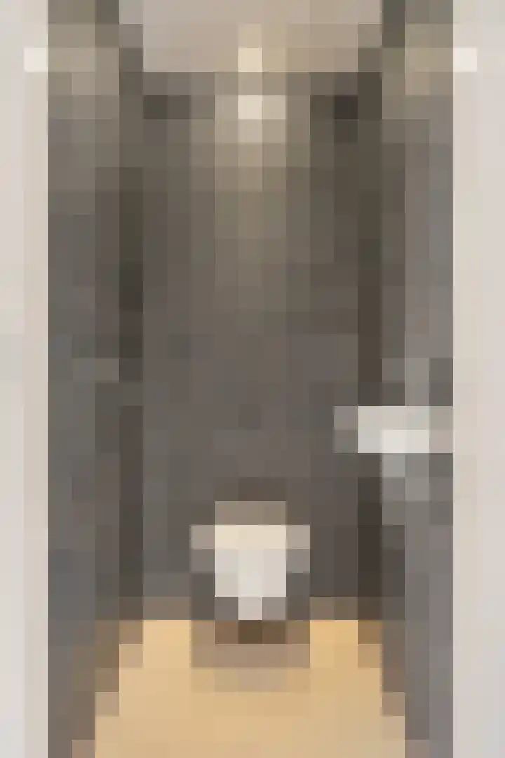 Midscheeps 112 Amsterdam thumbnail 19