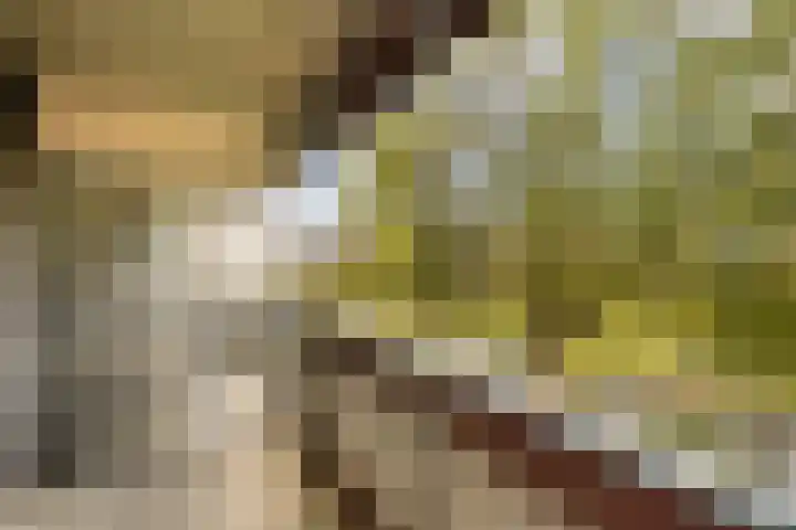 Midscheeps 112 Amsterdam thumbnail 24