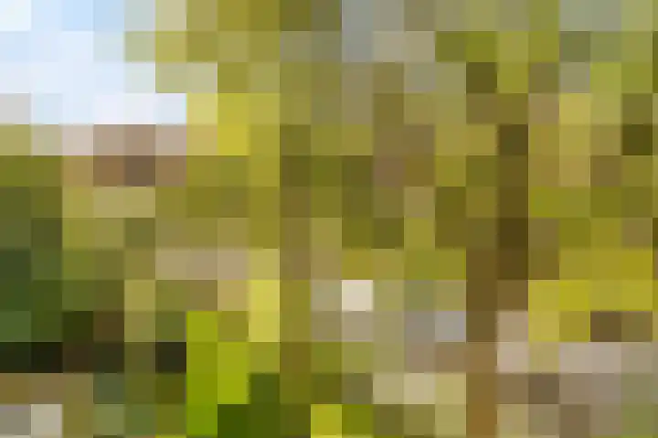 Midscheeps 112 Amsterdam thumbnail 26