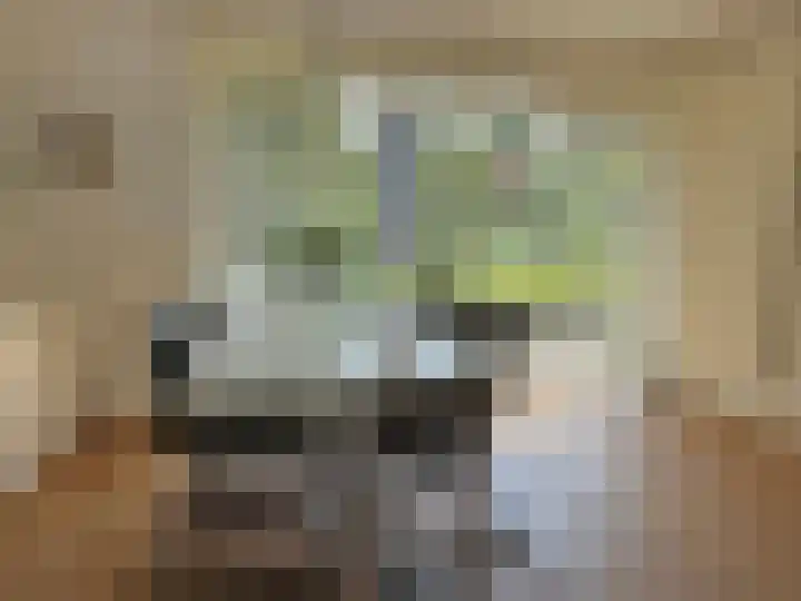 Midscheeps 112 Amsterdam thumbnail 27