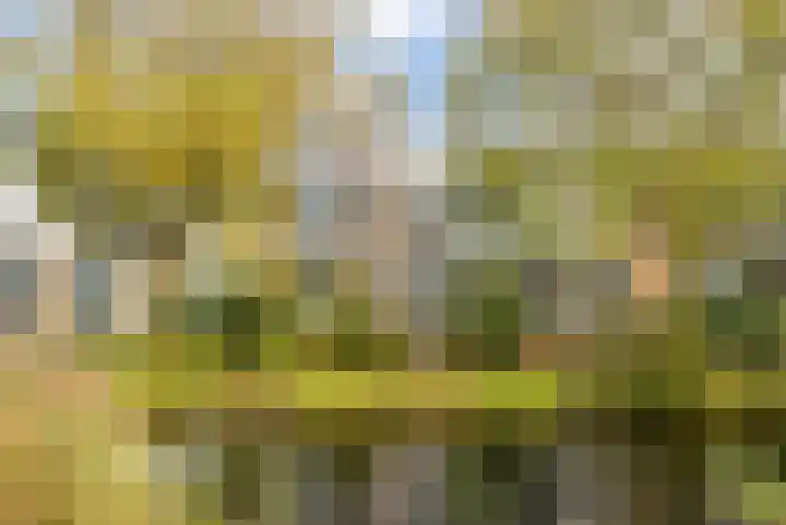 Midscheeps 112 Amsterdam thumbnail 28