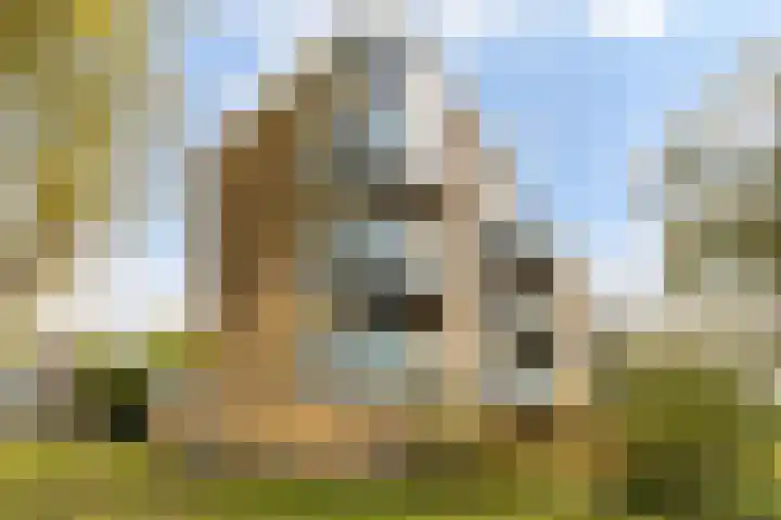 Midscheeps 112 Amsterdam thumbnail 29