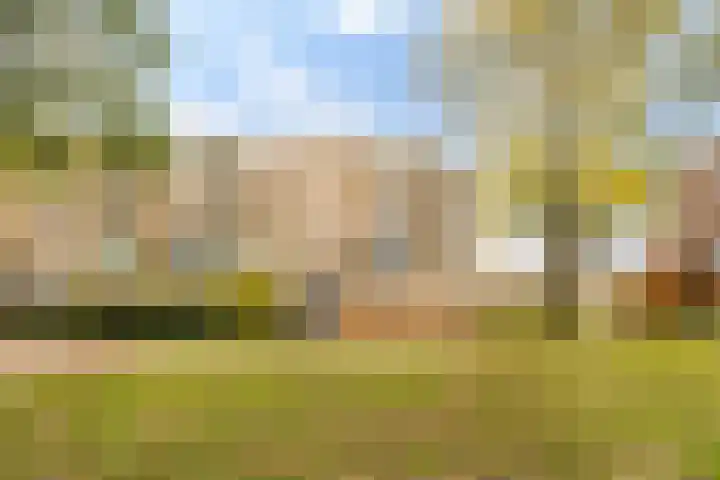 Midscheeps 112 Amsterdam thumbnail 30