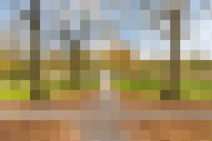 Midscheeps 112 Amsterdam thumbnail 33