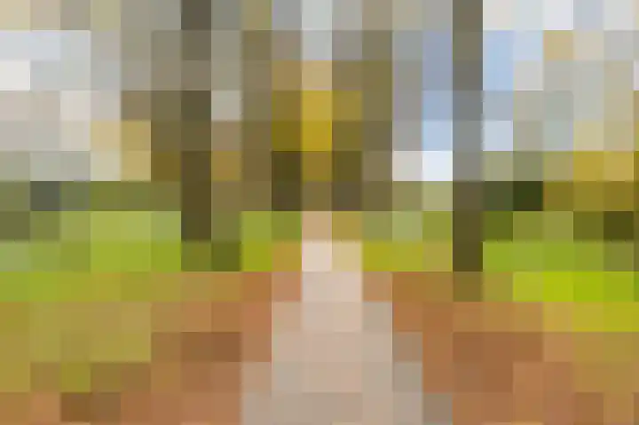 Midscheeps 112 Amsterdam thumbnail 34