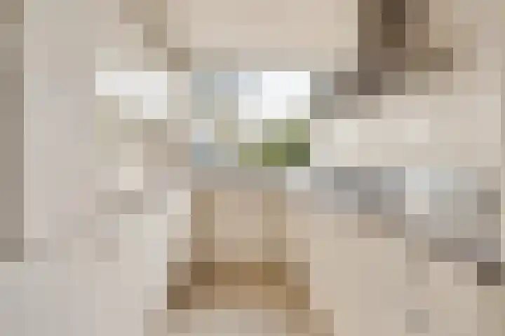 Midscheeps 112 Amsterdam thumbnail 6