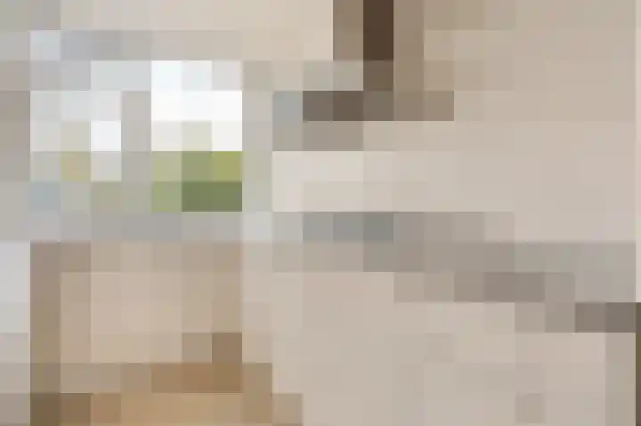 Midscheeps 112 Amsterdam thumbnail 7