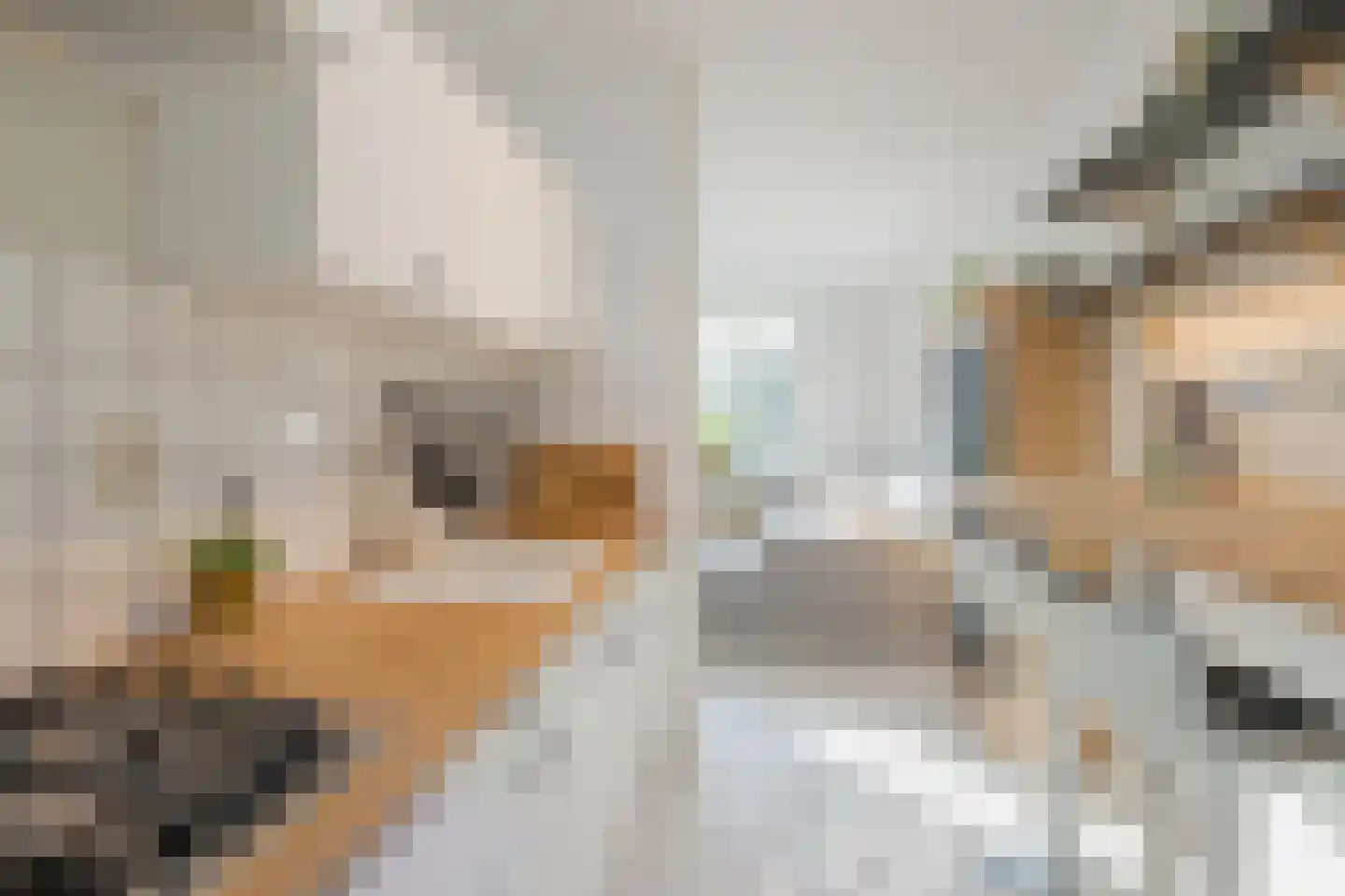 Midscheeps 122 Amsterdam thumbnail 14