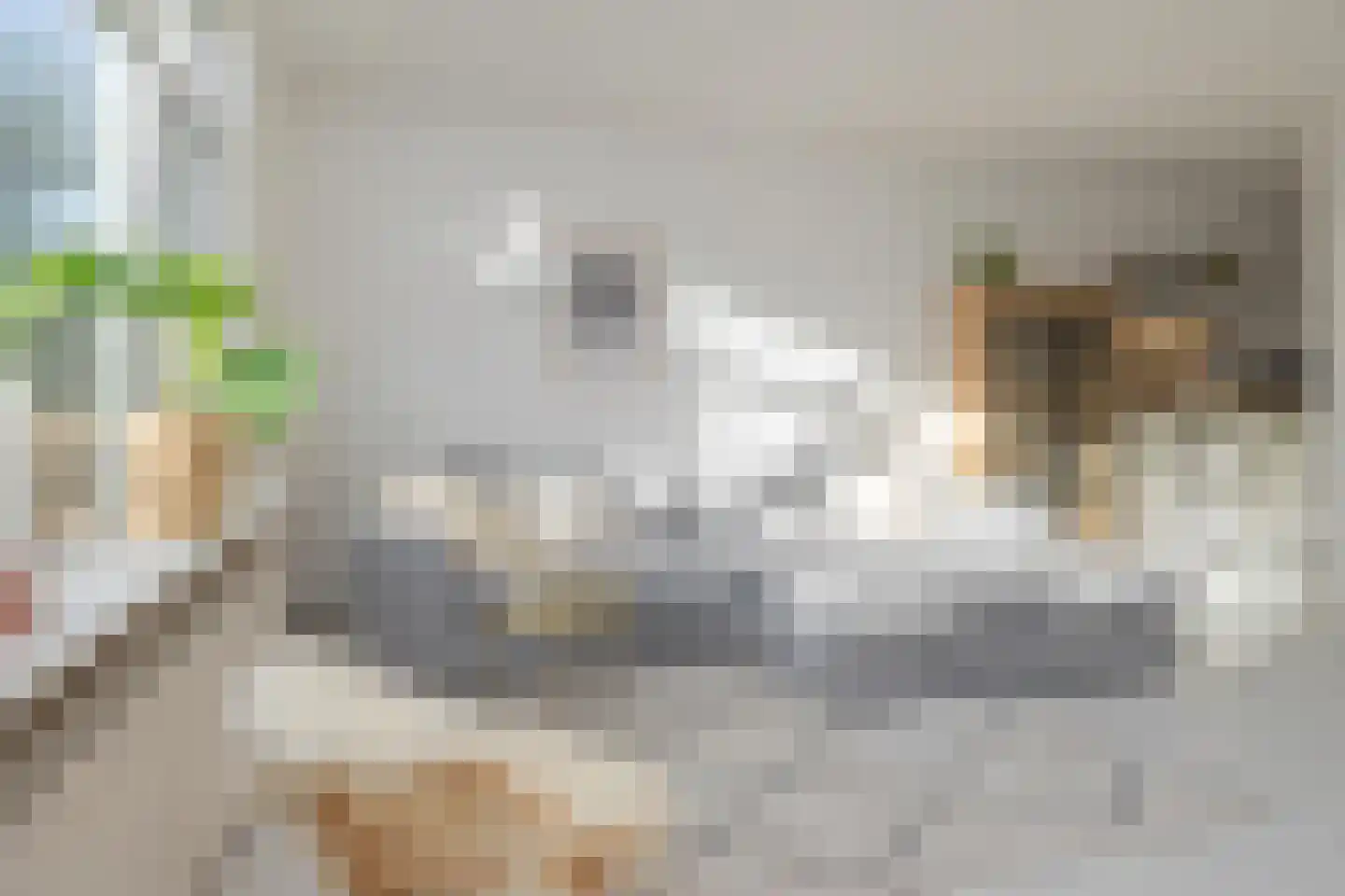 Midscheeps 122 Amsterdam thumbnail 7