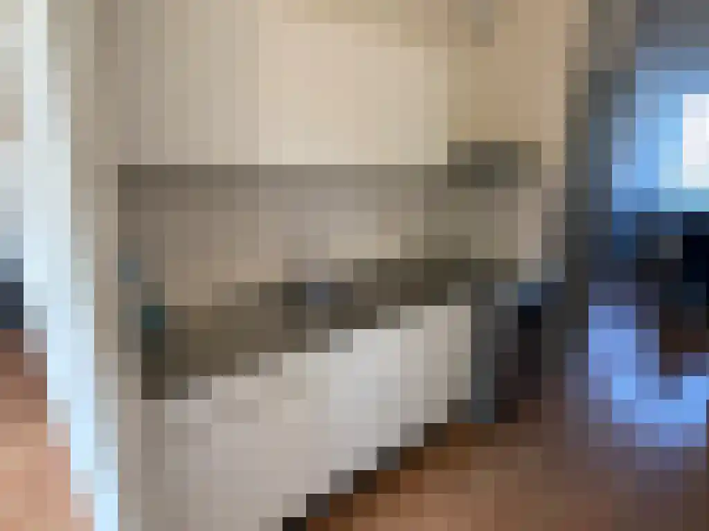 Midscheeps 136 Amsterdam thumbnail 5