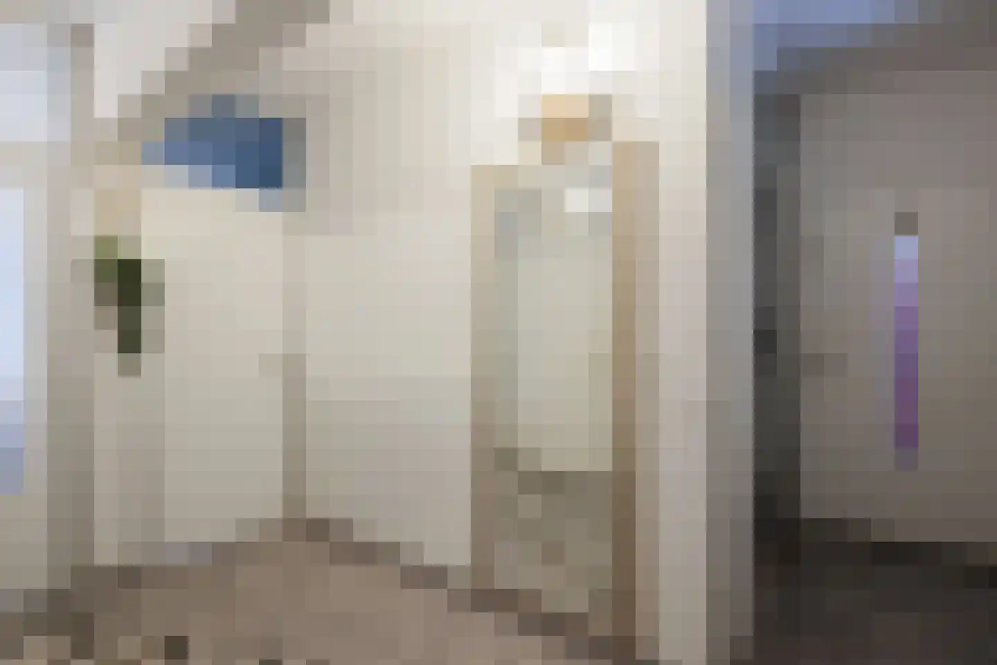 Midscheeps 19 Amsterdam thumbnail 10