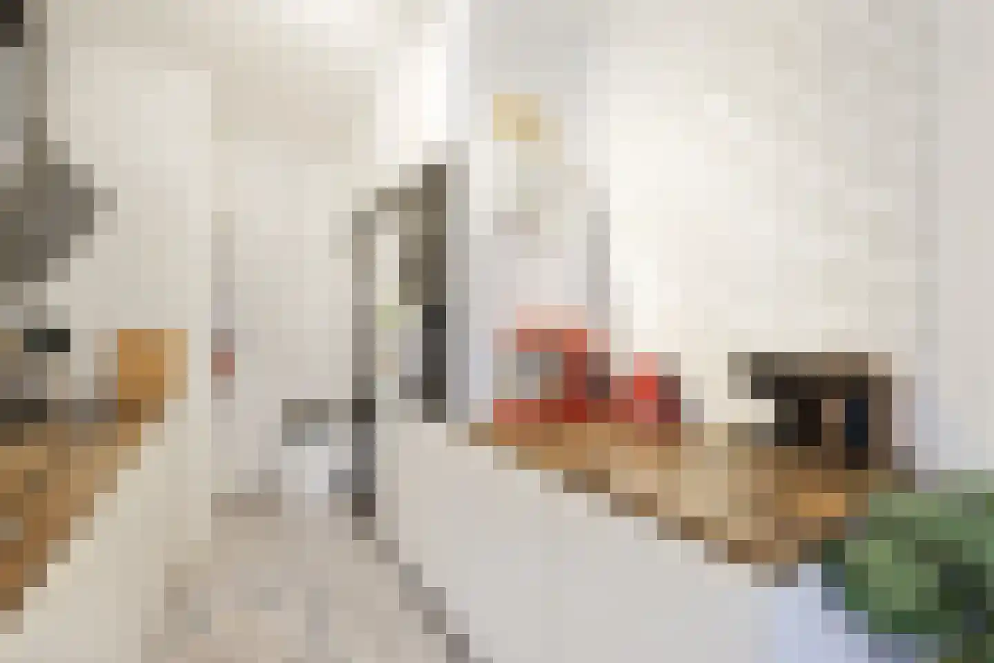 Midscheeps 19 Amsterdam thumbnail 6