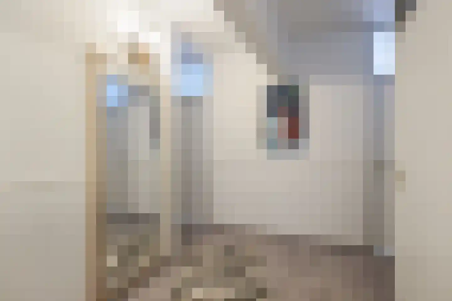 Midscheeps 19 Amsterdam thumbnail 9
