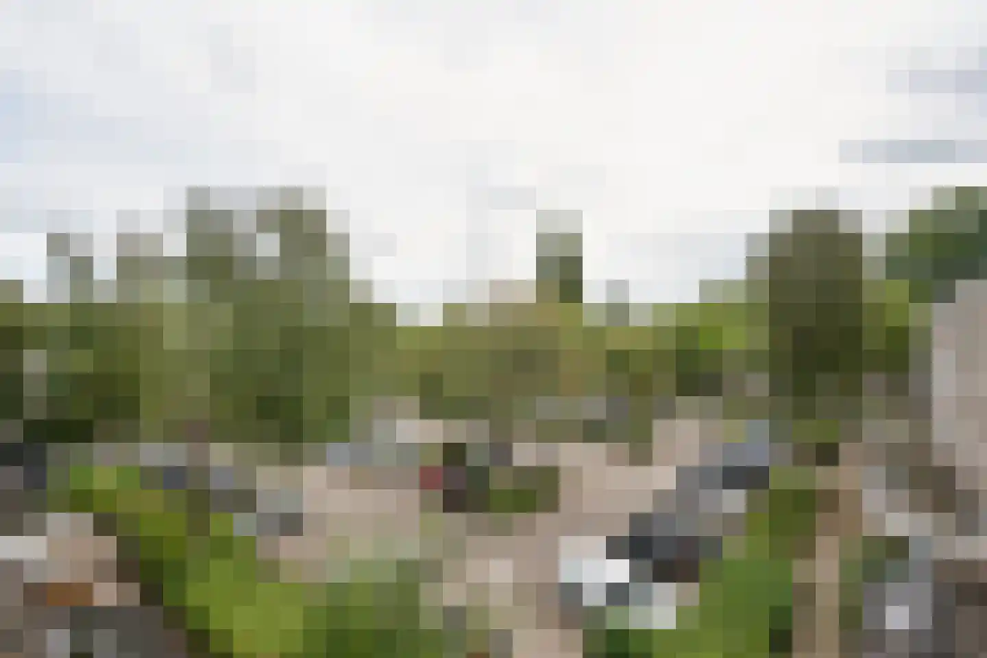 Midscheeps 29 Amsterdam thumbnail 22