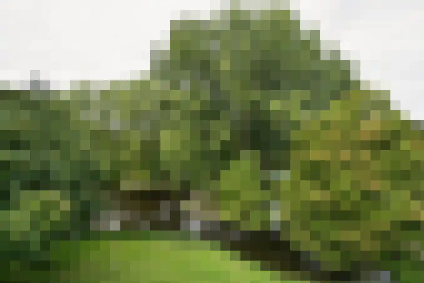 Midscheeps 29 Amsterdam thumbnail 9