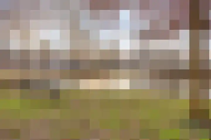 Midscheeps 30 Amsterdam thumbnail 14