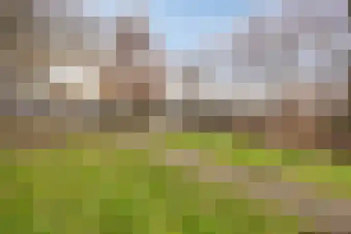 Midscheeps 30 Amsterdam thumbnail 15