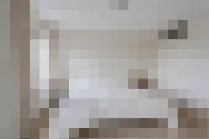 Midscheeps 31 Delfzijl thumbnail 31