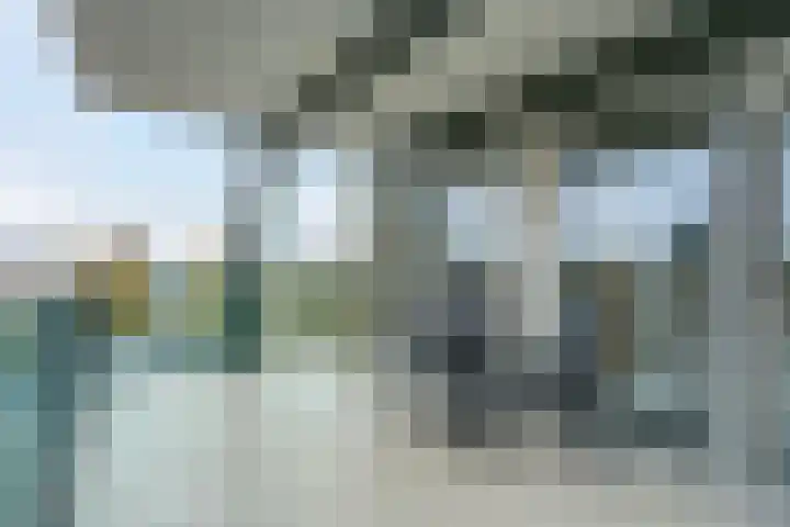 Midscheeps 31 Delfzijl thumbnail 40