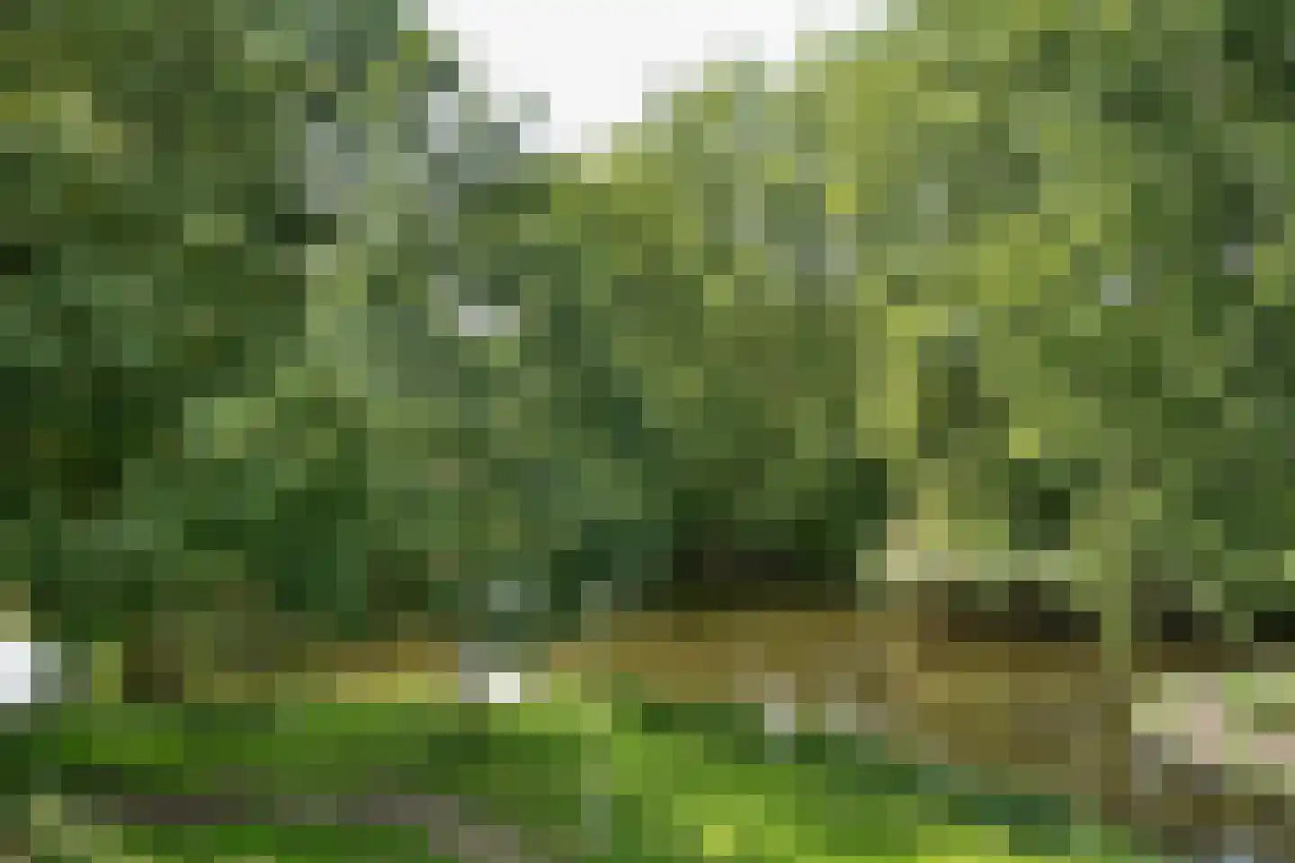 Midscheeps 32 Amsterdam thumbnail 10