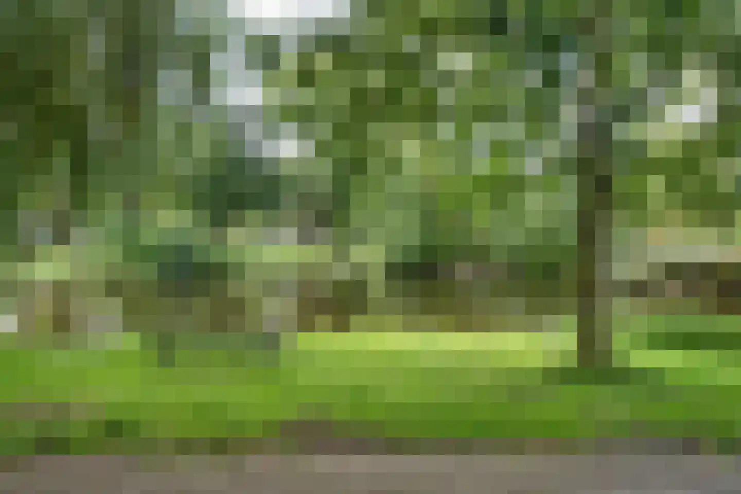 Midscheeps 32 Amsterdam thumbnail 26