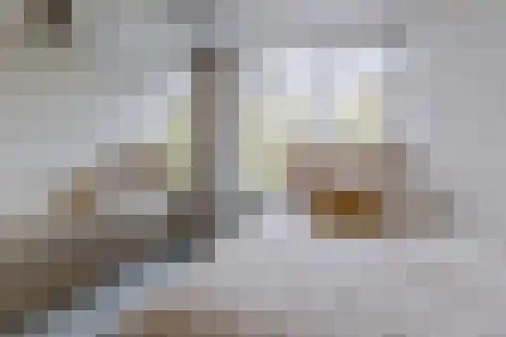 Midscheeps 37 Amsterdam thumbnail 20