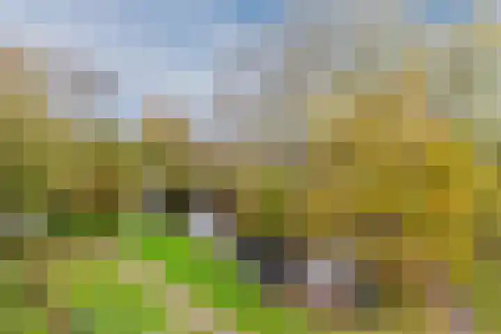 Midscheeps 37 Amsterdam thumbnail 29