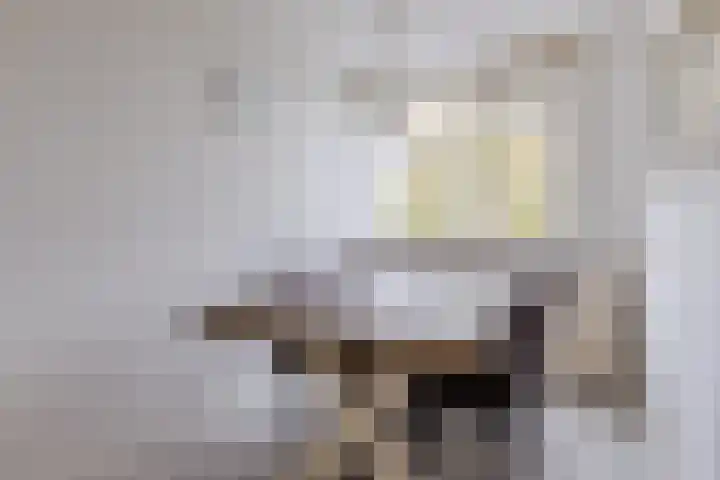 Midscheeps 37 Amsterdam foto 3