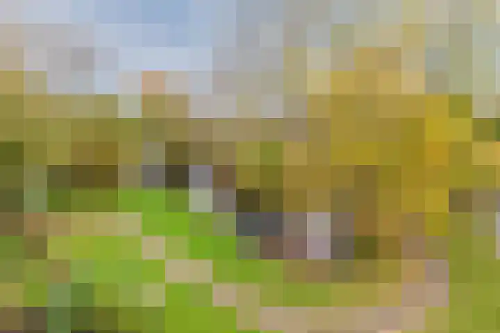 Midscheeps 37 Amsterdam thumbnail 30