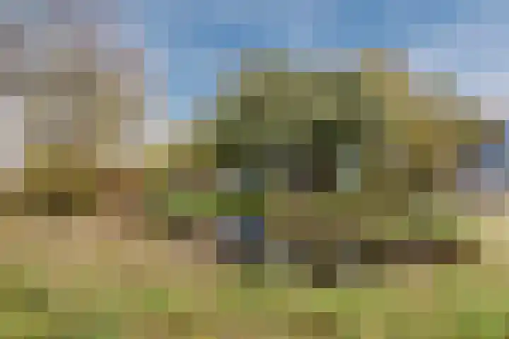 Midscheeps 37 Amsterdam thumbnail 37