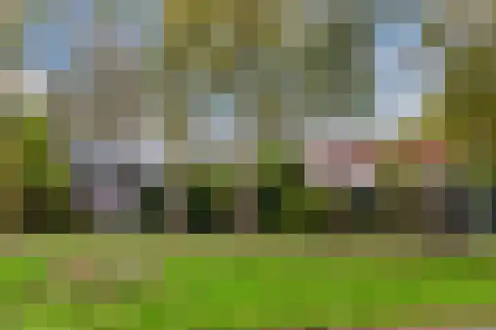 Midscheeps 37 Amsterdam thumbnail 38