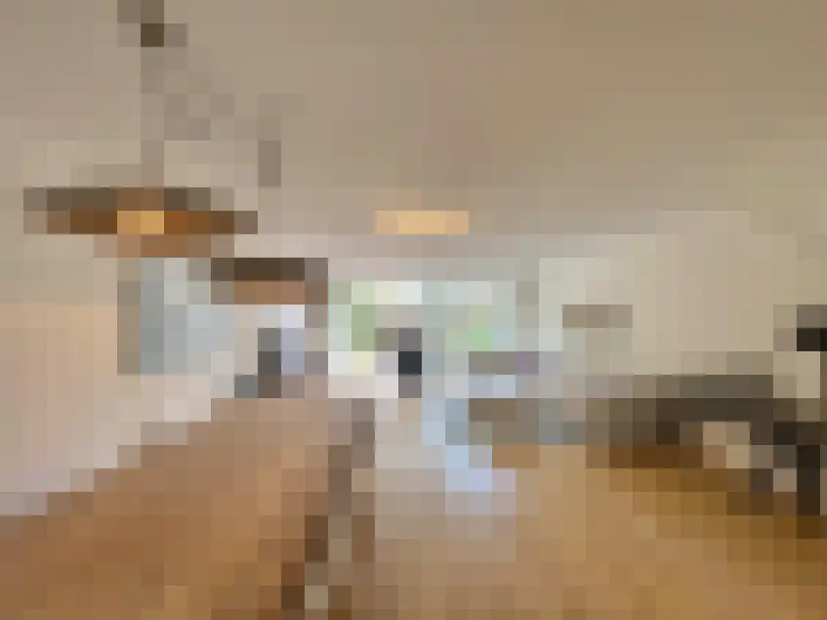 Midscheeps 8 Amstelveen thumbnail 6