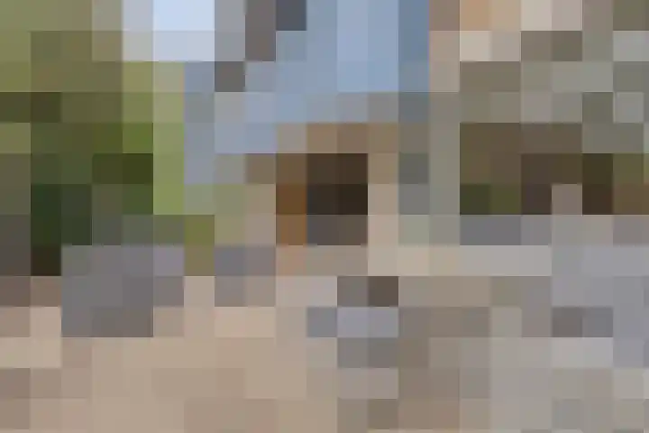 Midscheeps 9 Amsterdam thumbnail 15
