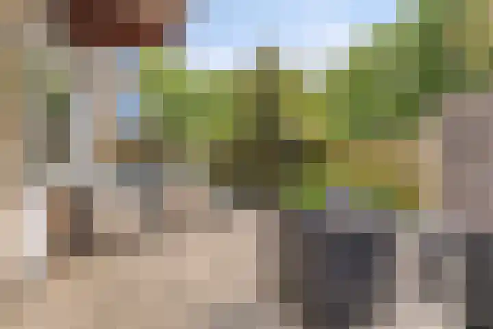 Midscheeps 9 Amsterdam thumbnail 16
